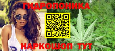 метадон Можга