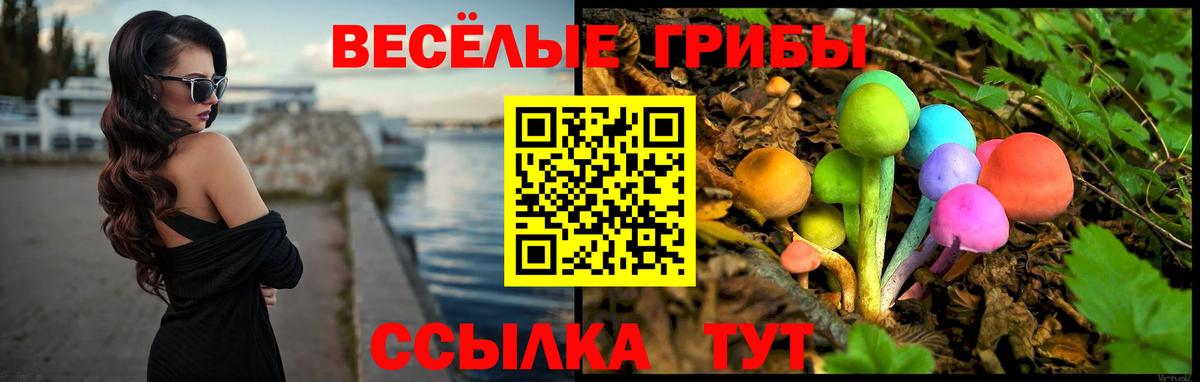 Галлюциногенные грибы GOLDEN TEACHER Тайшет